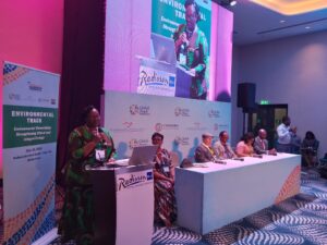 Prof Omar Chalaal on the panel discussion at the GPLC Africa Conference